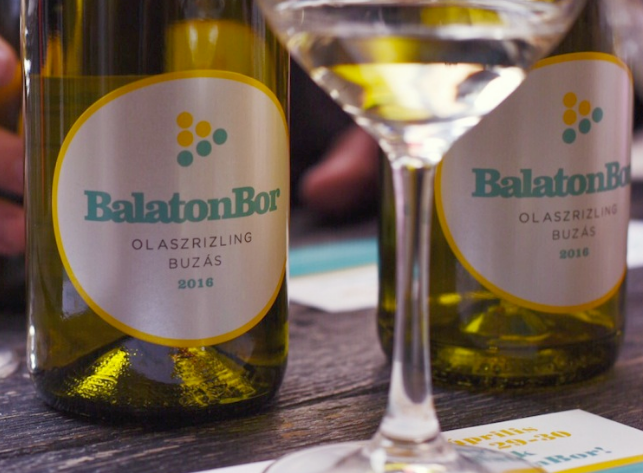 balatonbor