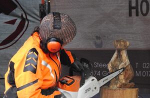 Elektromos láncfűrész