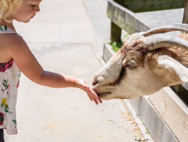 Fejér megyei programok