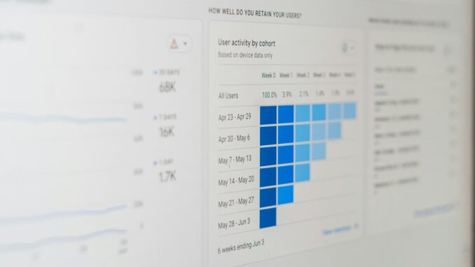 Linképítés lépésről lépésre - Kanga Design SEO ügynökség kínálatában
